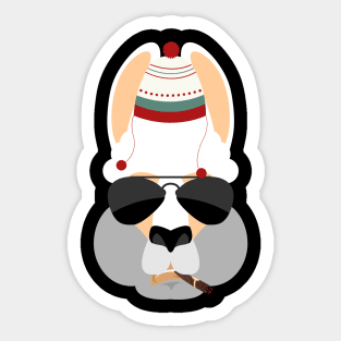 cool alpaca Sticker